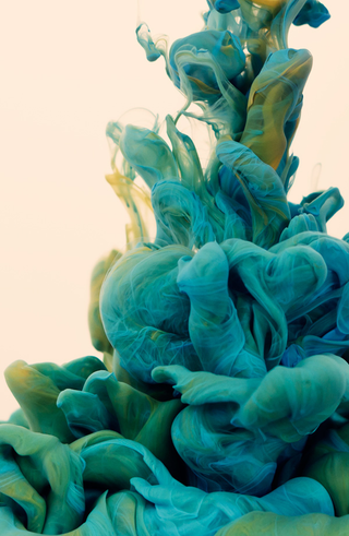 Illustration for article titled Can you guess the subject of this photograph?